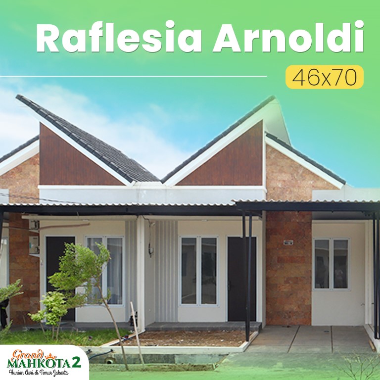 grand mahkota-raflesia-arnoldi-46x70-Medium